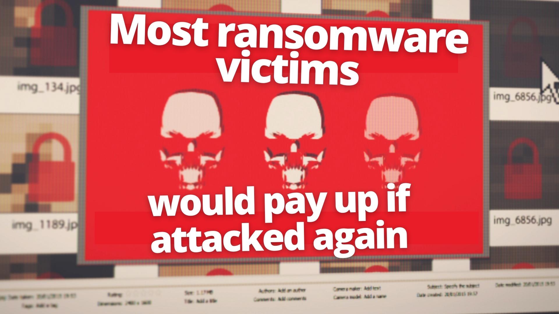 Most ransomware victims would pay up if attacked again – Netconex
